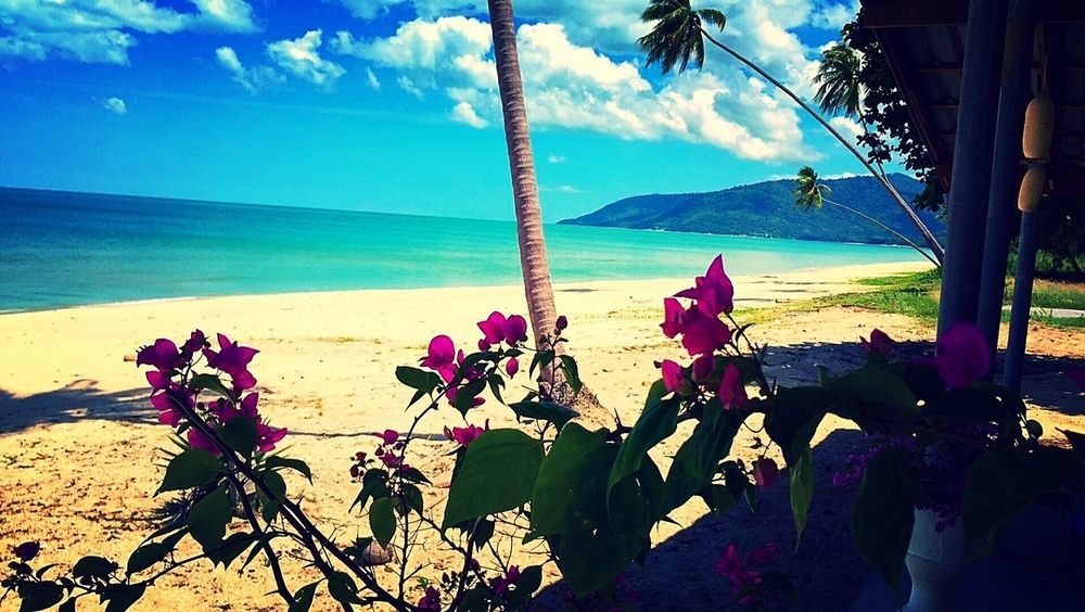 Le Petit Saint Tropez Hotel Khanom Luaran gambar